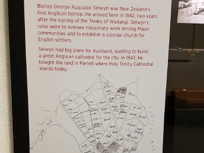Selwyn Display, Auckland Museum