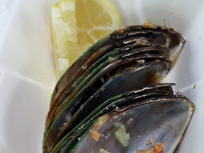 Mussels, Coromandel