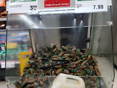 Live green lipped mussels for sale in New World, Whitianga