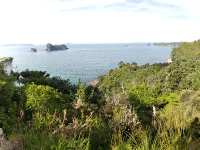 From the path to Cathedral Cove