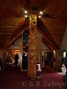 NZ02-Dec-12-16-28-42 * The reception centre.
Taiaroa head, Otago peninsula. * 1488 x 1984 * (377KB)