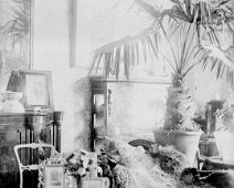 Interior with chaise and potted palm Original caption: Interior with chaise and potted palm