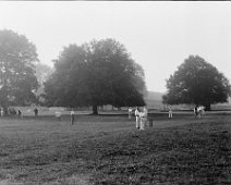 Sedgeford cricket match 1895 Original caption: Sedgeford cricket match 1895 (1)