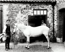 White pony, William & Wiltshire Sedgeford Hall stable yard. Original caption: White pony, William and Wiltshire