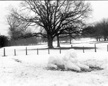 Snow sphinx Original caption: Snow sphinx