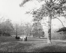 Pony and trap with 3 people Sedgeford Hall park Original caption: Pony and trap with 3 people