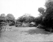 Garden Barham lawn Original caption: Garden (not Sedgeford)