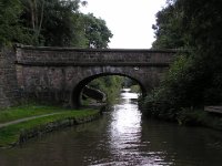 P8180002 Bridge 77 on the Macclesfield Canal A snake (or roving) bridge.