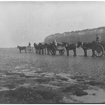 Beach working party Cockle/mussel collecting on Hunstanton beach; Original caption: Beach working party