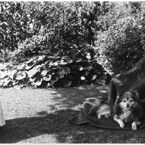 Dog on blanket in garden Original caption: Dog on blanket in garden