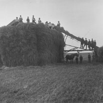 Hayrick, Sedgeford field Original caption: Hayrick, Sedgeford field