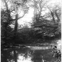Anmer pond Original caption: Anmer pond