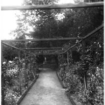 Mr. Mitchell's pergola statuette Original caption: Mr. Mitchell's pergola statuette
