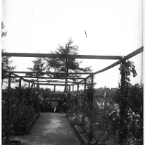 Mr. Mitchell's pergola with group Original caption: Mr. Mitchell's pergola with group
