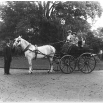 2 girls in governess cart Original caption: 2 girls in governess cart