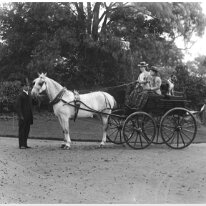 2 in governess cart Original caption: 2 in governess cart