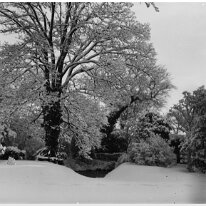 Prettiest snow photo of tree, river and garden gate Original caption: Prettiest snow photo of tree, river and garden gate