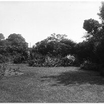 Garden not Sedgeford Original caption: Garden (not Sedgeford)