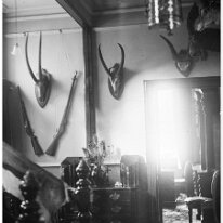 Interior with animals heads and dressing chest Inscription on reverse in Woodgate album: A bit of hall looking into study Original caption: Interior with animals heads and dressing chest