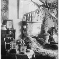 Interior with chaise and potted palm Original caption: Interior with chaise and potted palm