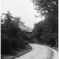 Etherton Lawn drive Original caption: Ellerton Lawn drive