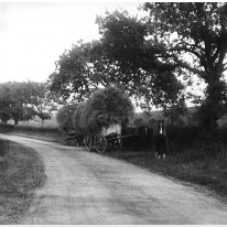 Hay carts Bottom of Sedgeford cemetery hill (west) Original caption: Hay carts