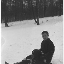 Donald on sledge Original caption: Donald on sledge