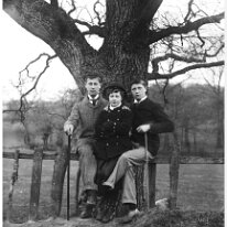 Reggie, Donald & Gertie on railings in cowfield Original caption: Reggie, Donald and Gertie on railings in cornfield