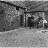 Stables. William holding bay mare Original caption: Stables. William holding bay mare
