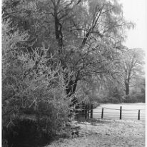 Tennis lawn, shrubbery etc. in winter Original caption: Tennis lawn, shrubbery etc. in winter