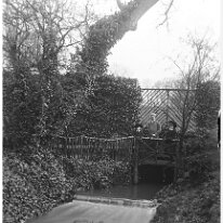 Father, Gertie and Nona on waterfall bridge, from drive Original caption: Father, Gertie and Nona on waterfall bridge, from drive