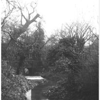 Waterfall bridge from drive Original caption: Waterfall bridge from drive