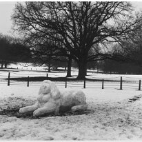 Snow sphinx Original caption: Snow sphinx