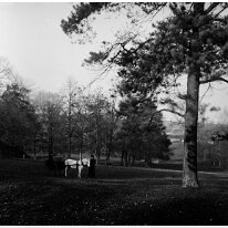 Pony and trap with 3 people Sedgeford Hall park Original caption: Pony and trap with 3 people