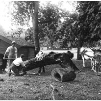 The woodcutters Original caption: The woodcutters