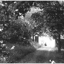 Garden view Original caption: Garden view