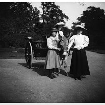 Sybil's donkey cart Original caption: Sybils donkey cart