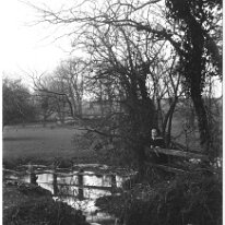 Frank near stream Sedgeford Park Original caption: Frank near stream