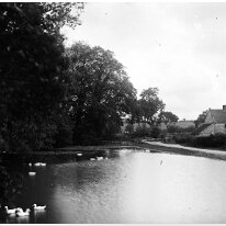 Pond with ducks Fring Docks and road to Bircham Original caption: Pond with ducks