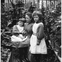 Gertie, Nona & Miss B. in greenhouse Sedgeford Hall Original caption: Gertie, Nona and Miss B. in greenhouse