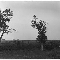 Country scene Original caption: Country scene
