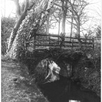 Boy on bridge Original caption: Boy on bridge