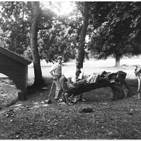 3 men logging wood Original caption: 2 men logging wood