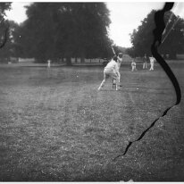 Cricket match. Walter and Frank in together Holcombe Ingleby keeping wicket Original caption: Cricket match. Walter and Frank in together