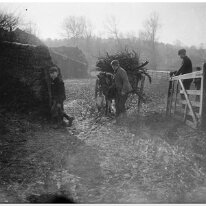 Sedgeford lane Field gate off Fring Lane Original caption: Sedgeford lane