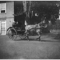 2 in pony & trap Sedgeford Hall Original caption: 2 in pony and trap