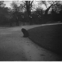 5 men playing brass instruments on driveway Original caption: 5 men playing brass instruments on driveway