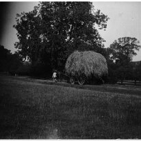 Haywain Original caption: Haywain