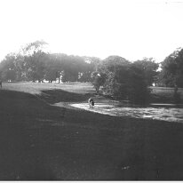 Pastoral scene Original caption: Pastural scene