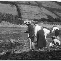 Family group shrimping Original caption: Family group shrimping